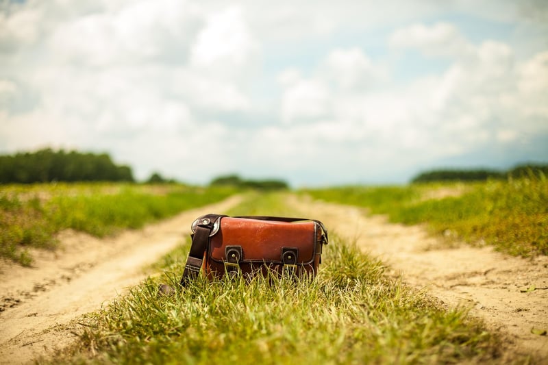 Handbags