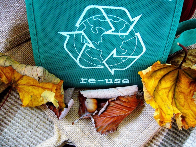 Recycle Reuse Renew